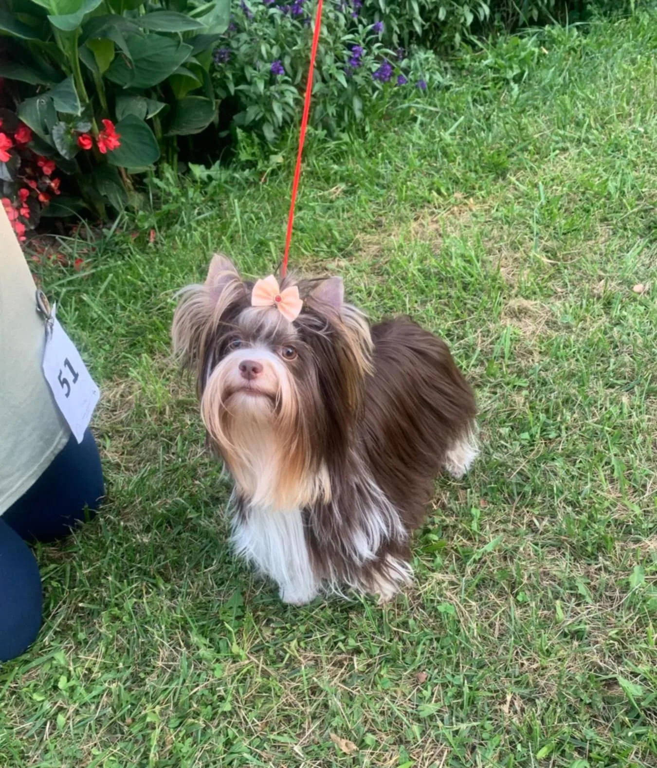 Fatime Little Silver Of York 