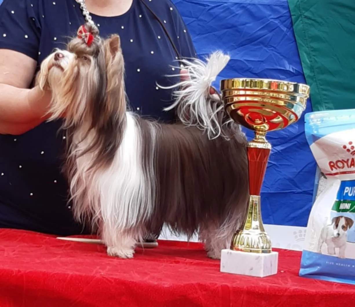 Rolly Polly Luxus Lazuri