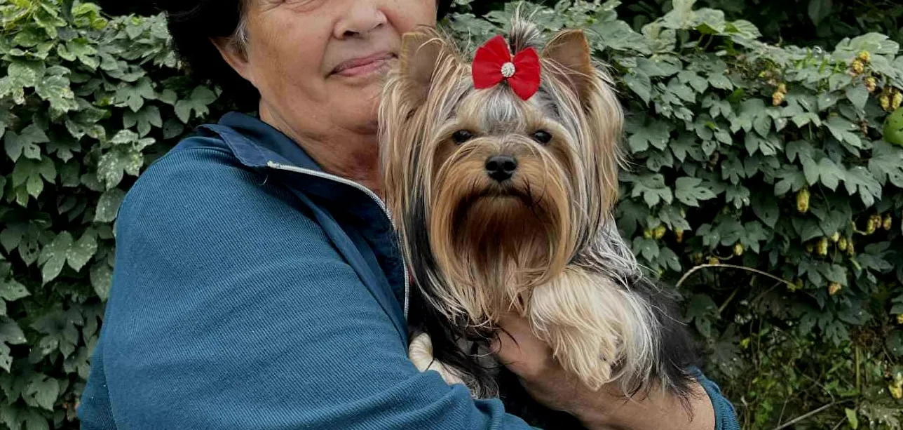 Kiállítási híreink - Zetty Little Silver of York